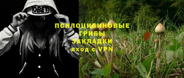 прущая мука Магадан