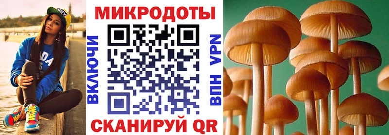 Псилоцибиновые грибы GOLDEN TEACHER  блэк спрут маркетплейс  Чкаловск 